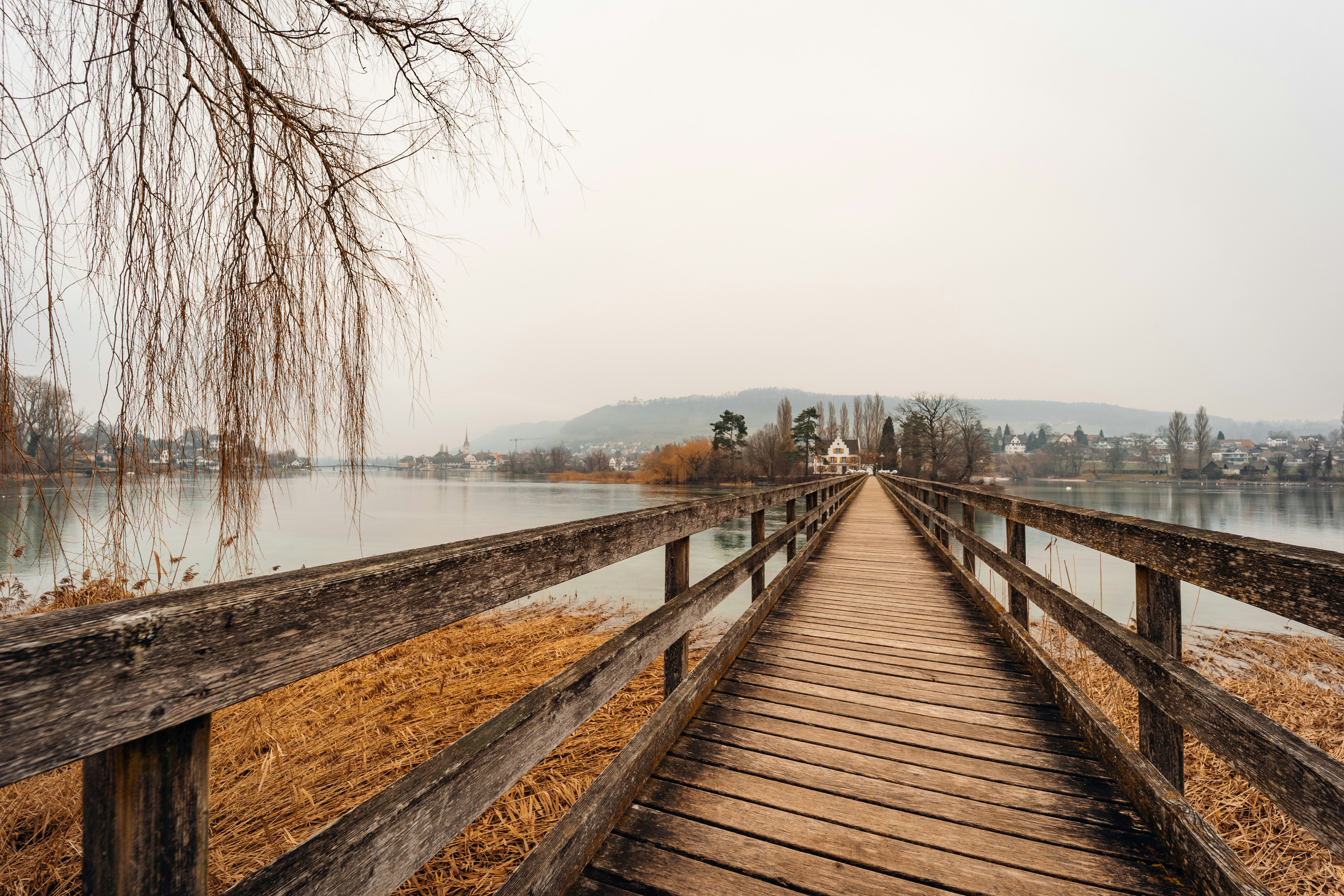 brown wooden dock on lake during daytime